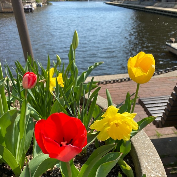 Meet Posher Monica ☘️ I’m TRULY an ‘Open world of possibilities’ & Bird LOVER 🦅 - Picture 2 of 5